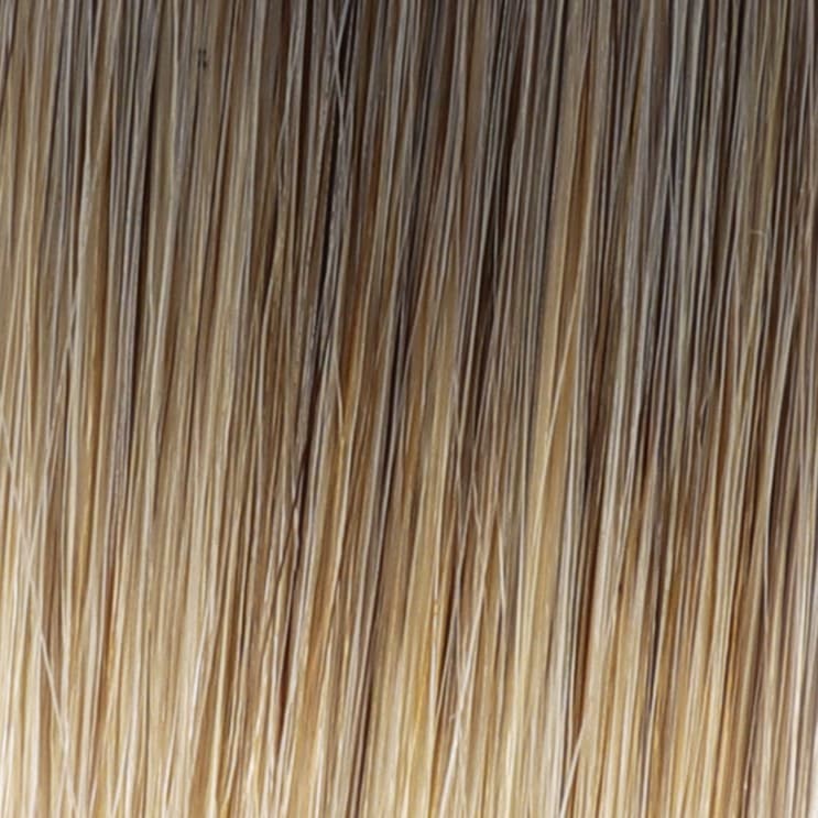 Dark brown Blonde Ombré - blended 3